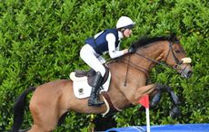 Willa-Newton-riding-CHANCE-REMARK-Horse_203228992_286338752.jpg