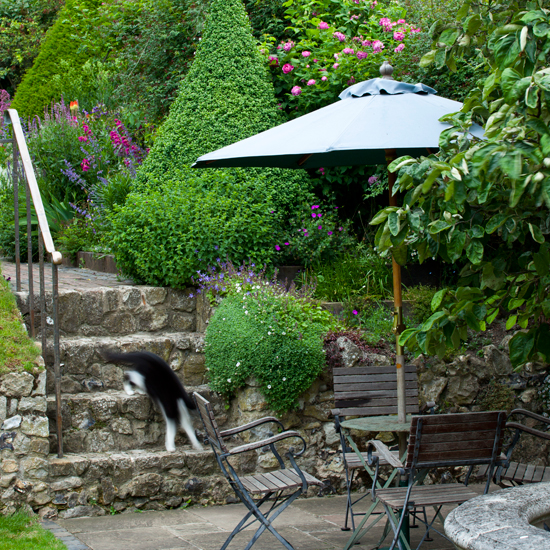garden with dining area