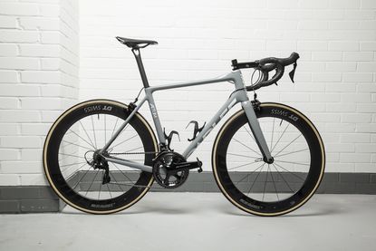 Parlee altum R