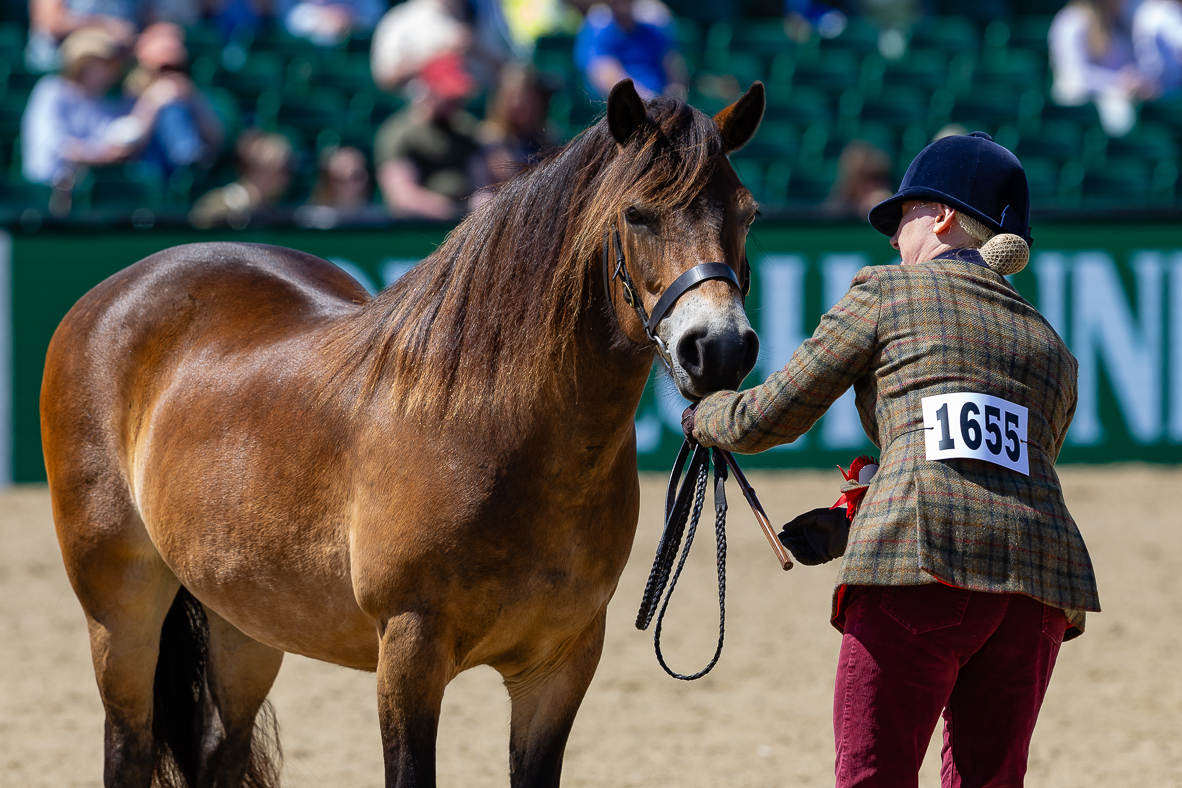 RWHS_H&amp;amp;H In Hand Supreme_-16