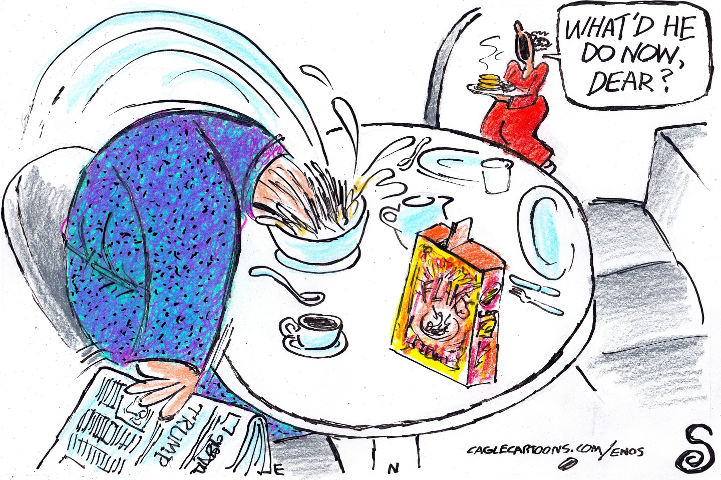 Political Cartoon