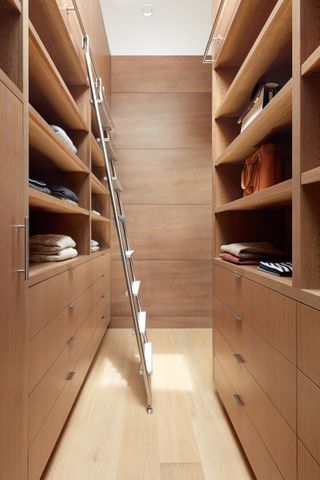 a closet with a library ladder