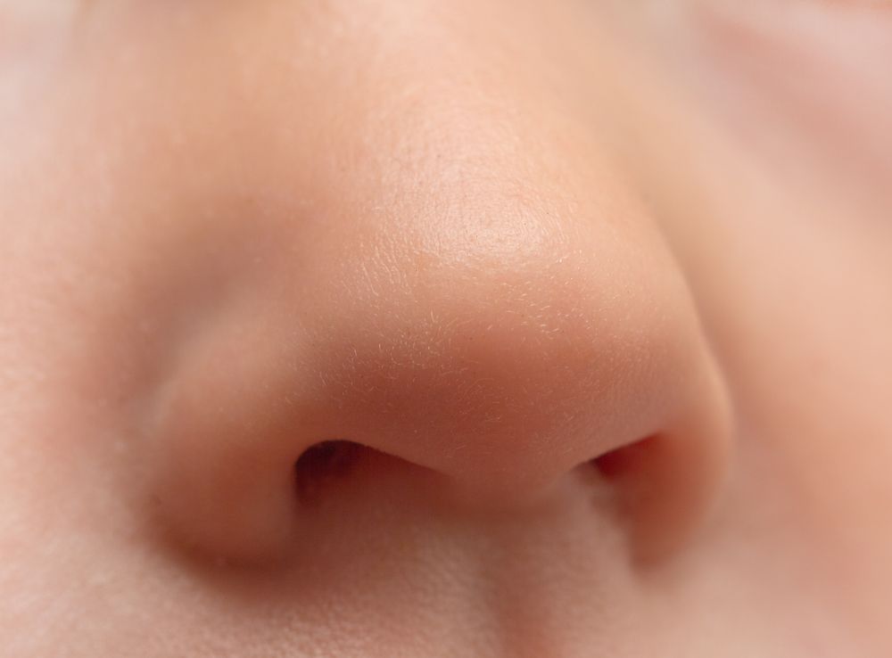 boy&#039;s nose, sinuses