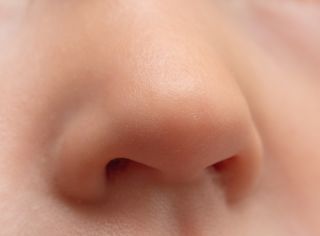 boy's nose, sinuses