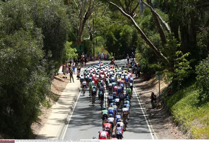The Tour Down Under peloton produced and exciting opening to the road season