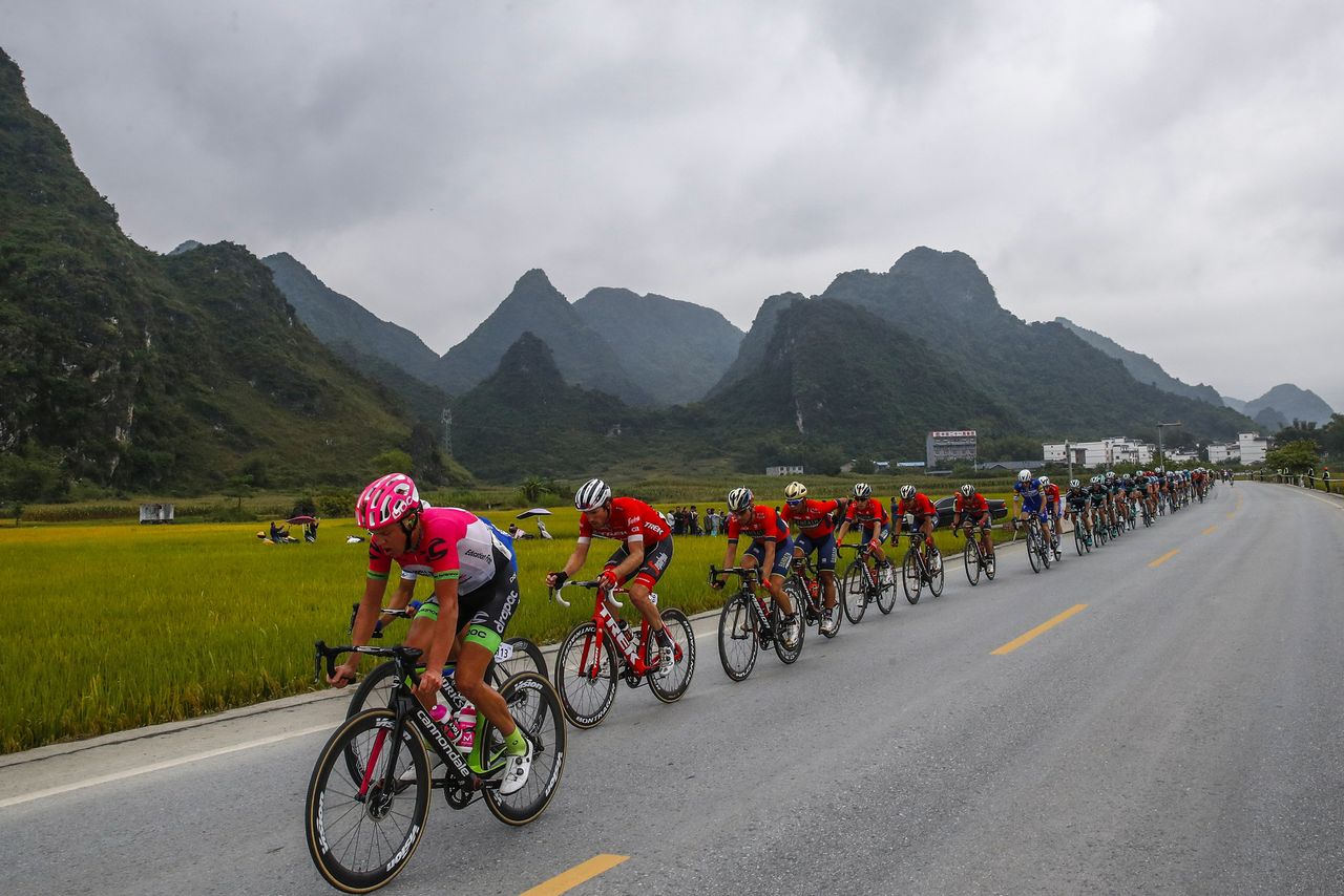 The peloton was lined out in the country roads