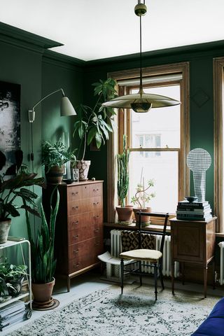 dark green living room with houseplants and warm wooden furniture