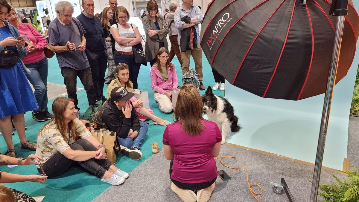 Dogs that stole our hearts at The Photography Show 2022