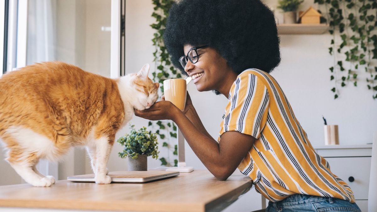 Happy woman with coffee cup stroking cat on desk