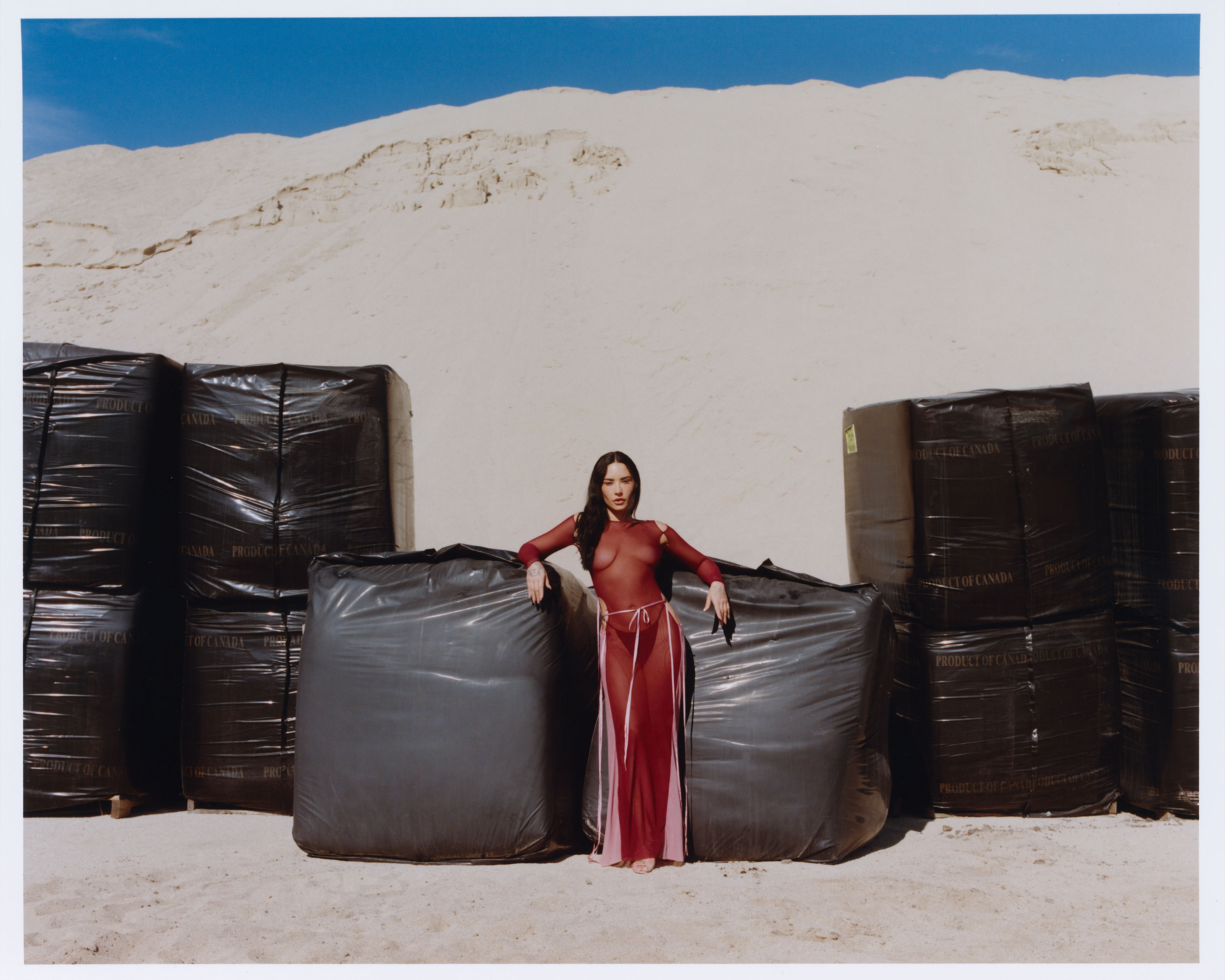 Demi Lovato forBest Knockoff Luxury Clothing
&#039;s November cover. Lovato leans up against large boxes covered in black plastic. She is wearing a red and pink sheer dress.