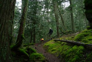 A man and dog running through the forest