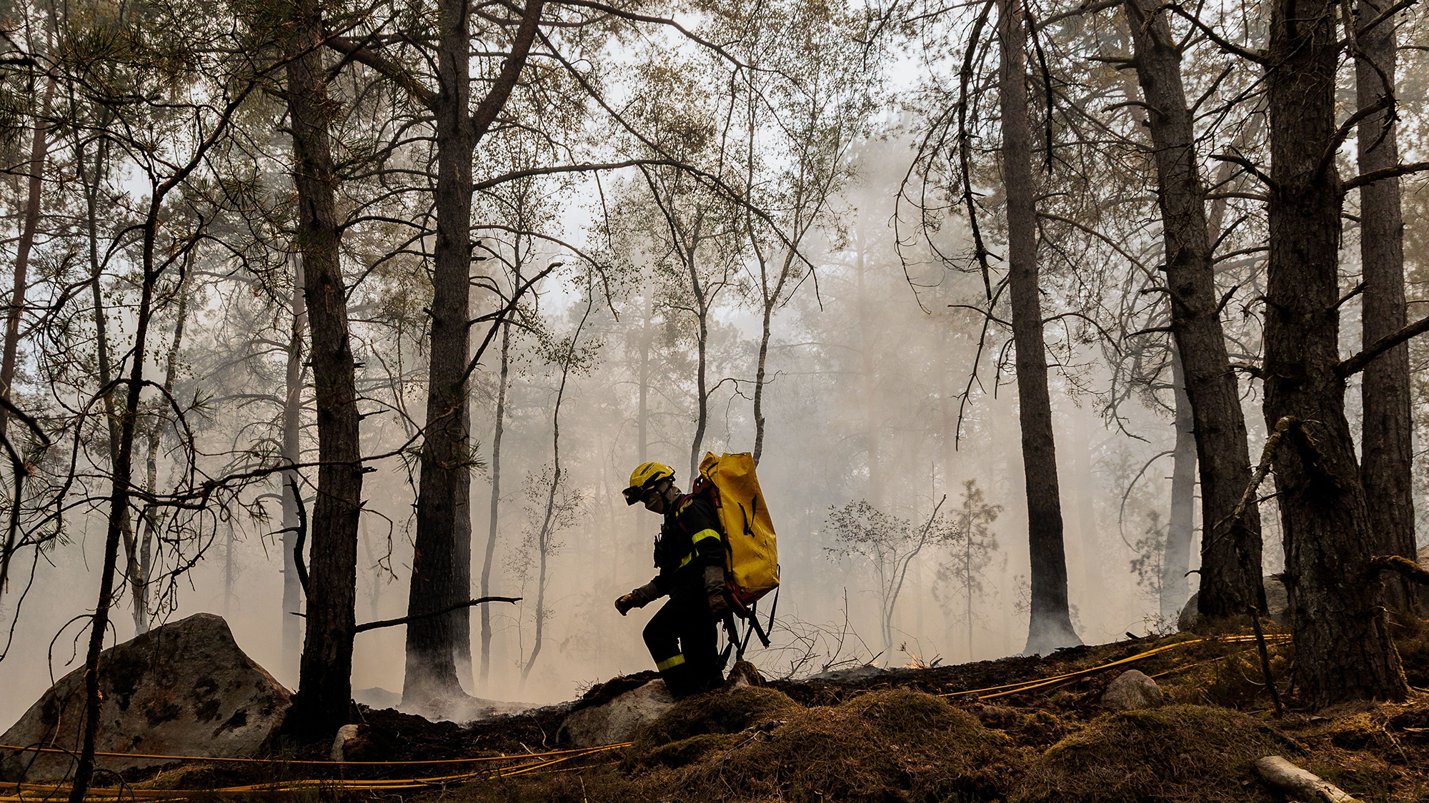 A firefighter emerges from the smoke after wildfire tore through the Fontainebleau forest in Noisy-sur-Ecole, France