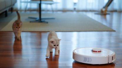 Robot vacuum