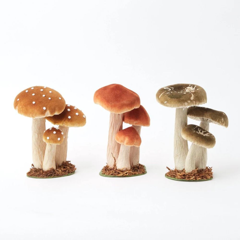 Small Mixed Mushroom Decor Set