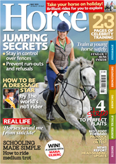 horse-mag.jpg