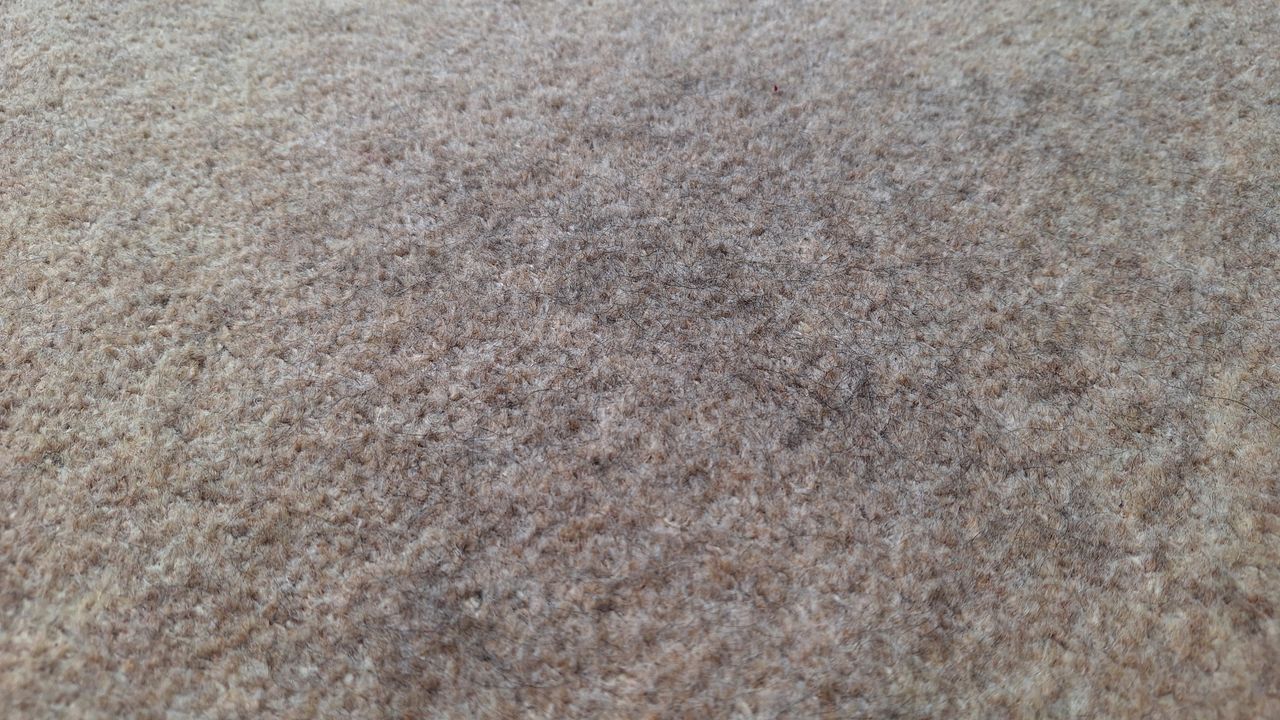 Loose tea on a carpeted floor after the suction test with Roborock Saros 20