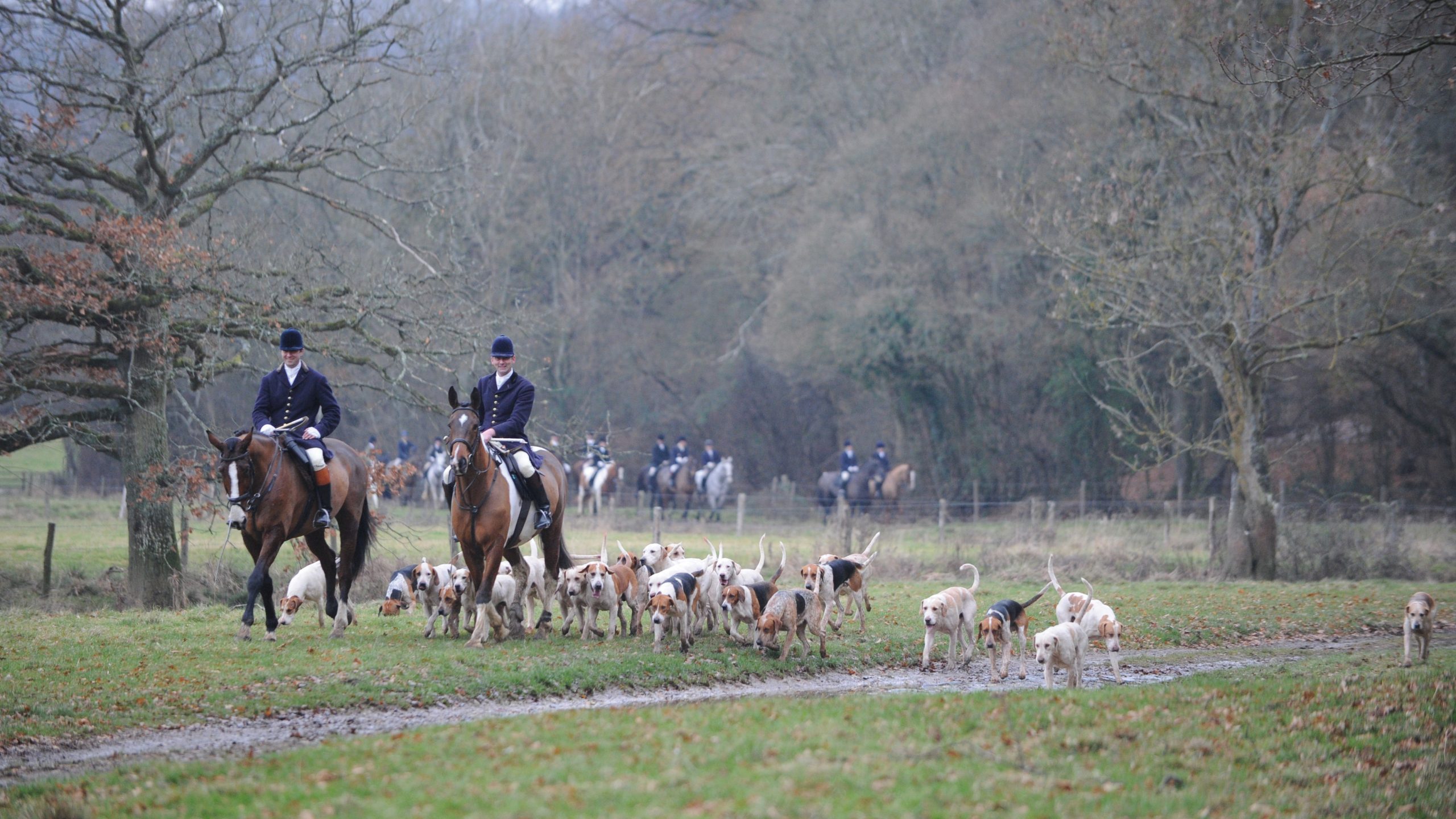 Julian Edge (Master) and Mr A Thompson (1st Whip, but acting as Huntsman during the day) with the Chiddingfold Hounds during the Mockbeggars meet of the Chiddingfold Hunt hosted by Harriet Charles and Richard Hextall near Billingshurst in West Sussex, UK on 7th December 2016