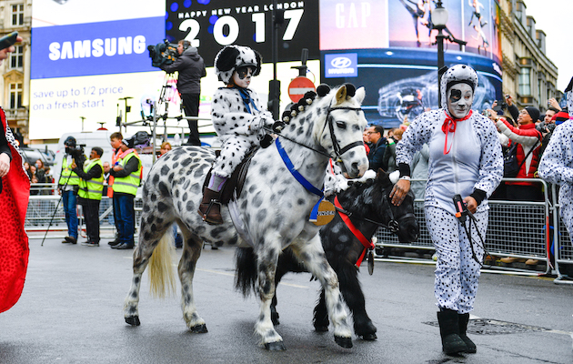 QueensHorse1.jpg
