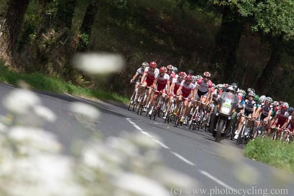 Cofidis was vigilant at the front of the peloton.