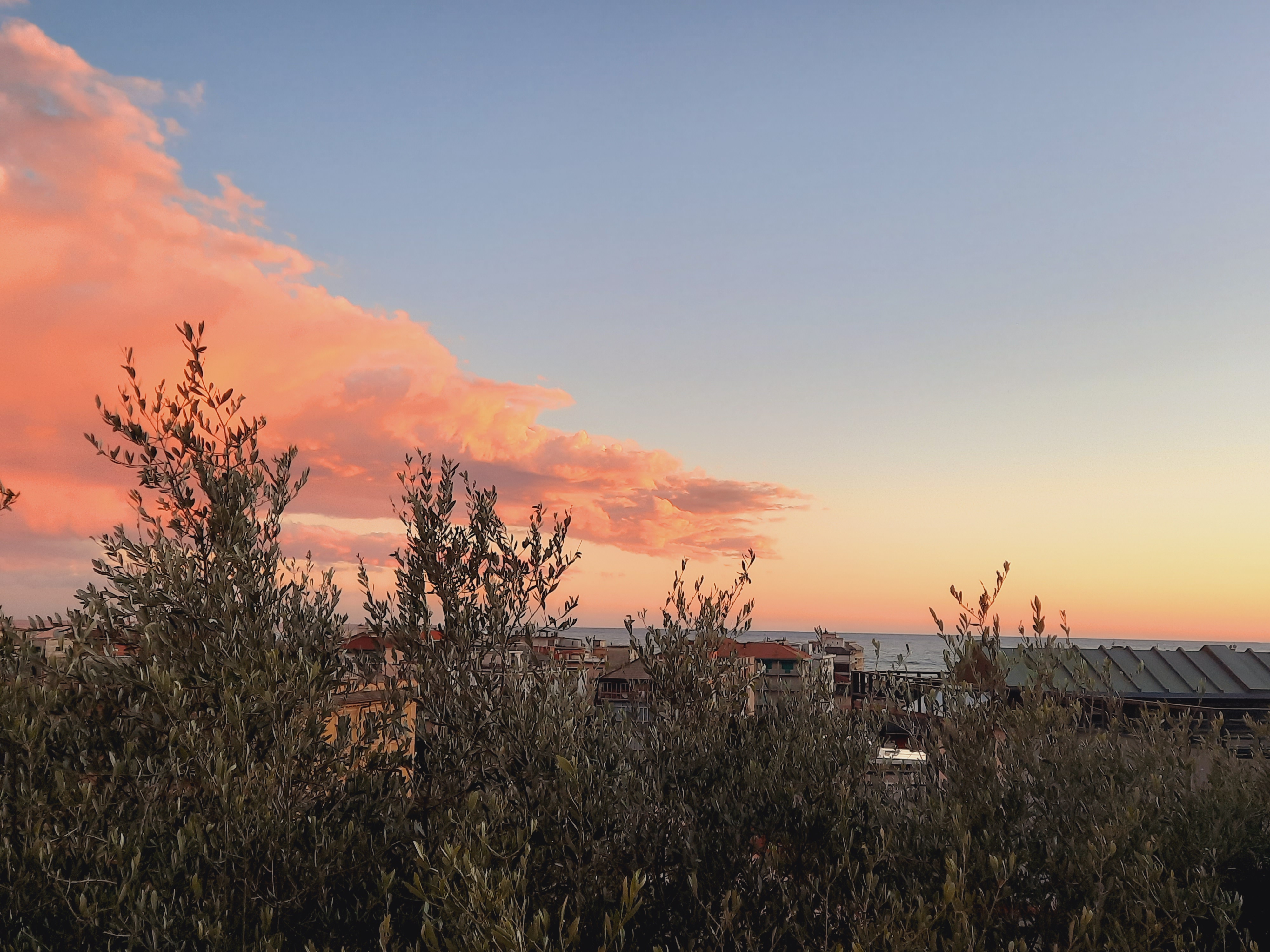 GuruShots March 2026