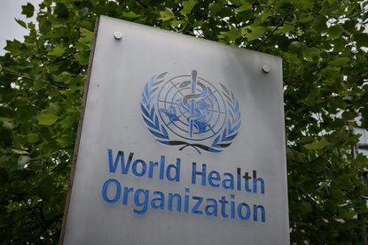 The World Health Organization logo.