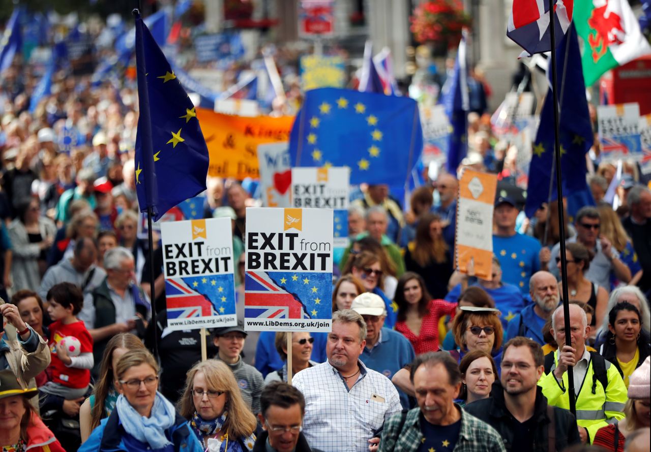 Anti-Brexit demonstrators.