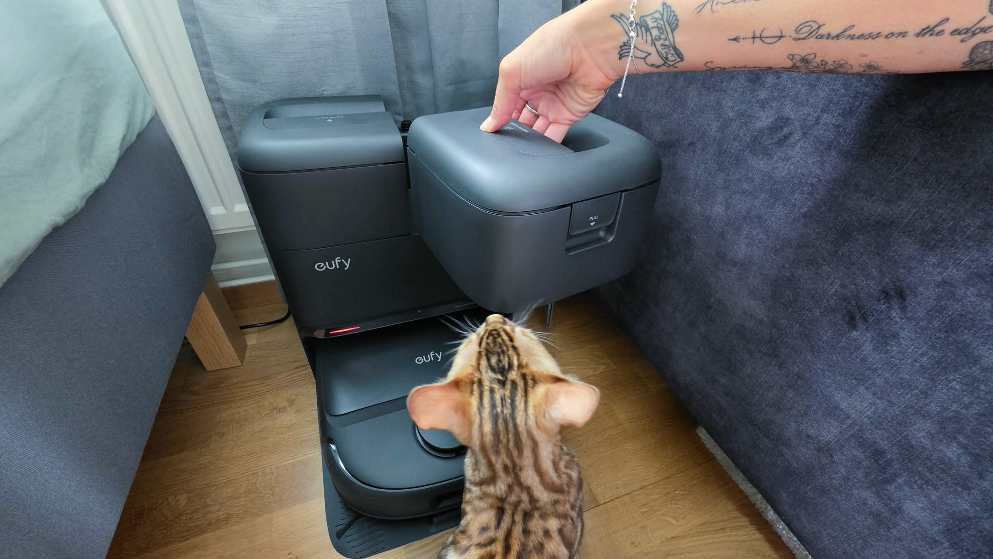 En hand lyfter upp den ena vattentanken till Eufy C28, med en bengalkatt bredvid som kollar p&amp;aring;.