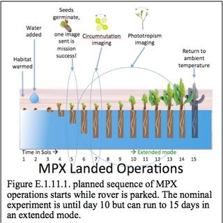 Graphic illustrating the Mars Plant Experiment (MPX) concept, which aims to send a tiny greenhouse to the Red Planet along with NASA's next Mars rover in 2021.