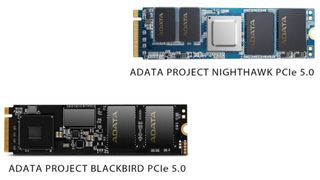 Two Adata PCIe 5.0 SSDs