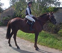 Denman-riding.jpg