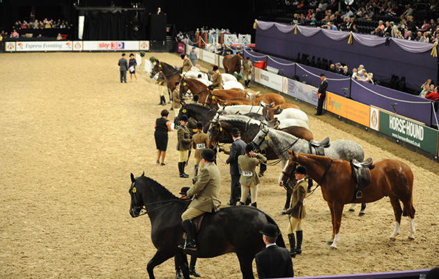 HOYS bluffers guide: line-up at Horse of the Year Show