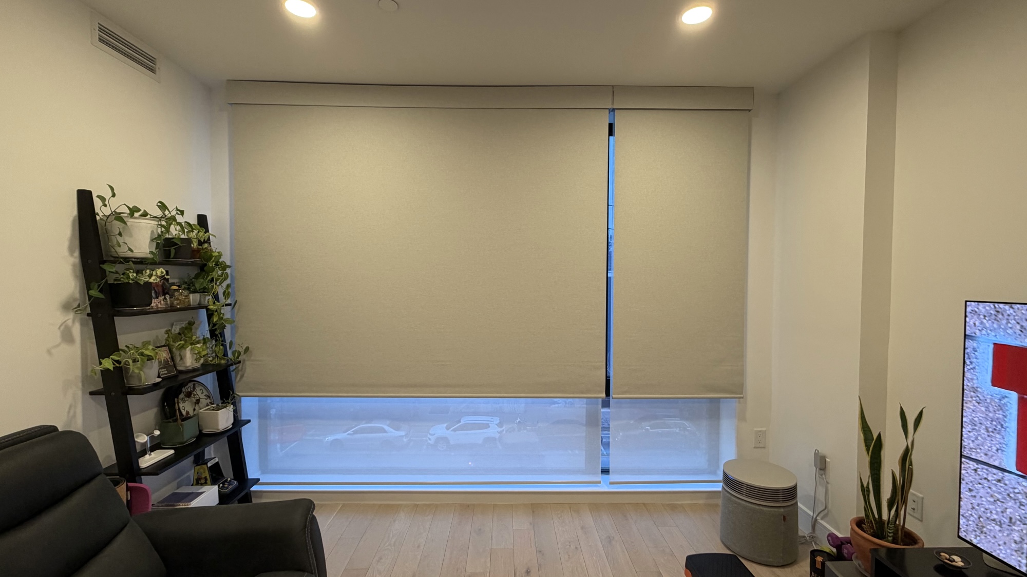 SmartWings dual shades shown in living room