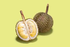 Opened Durian Tropical Fruit on Green Colored Background