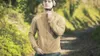 POC Pro Thermal Jacket