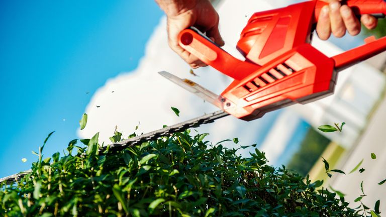man learning how to use a hedge trimmer to trim hedges into shape