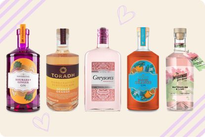 A selection of the best Aldi gins for 2023