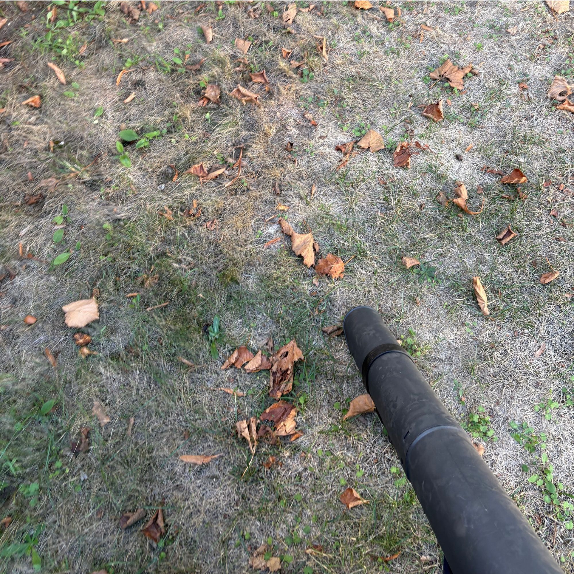 FLYMO EasiBlowVac Cordless Garden Vacuum &amp;amp; Leaf Blower