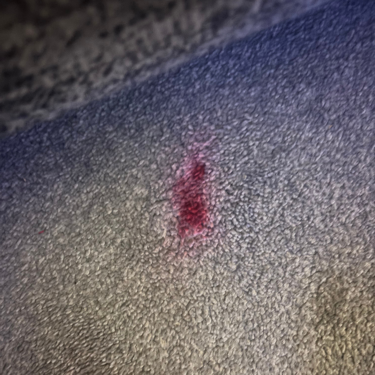 Karcher SC 2 nail varnish spill test