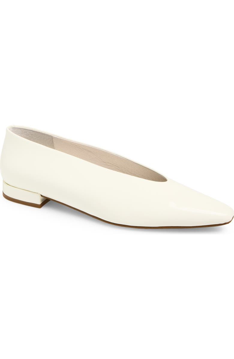 Hinted Pointed Toe Flat