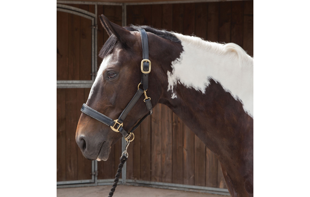Requisite Diamante Edge Headcollar
