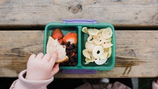 Child eating out of lunch box