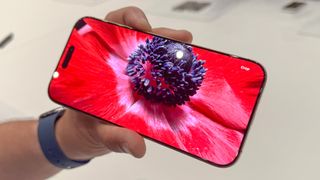 iPhone 16 Pro hands on macro photo of flower on display