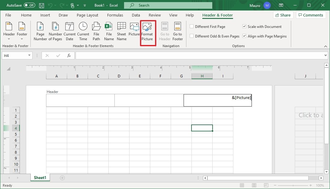 Excel format picture button