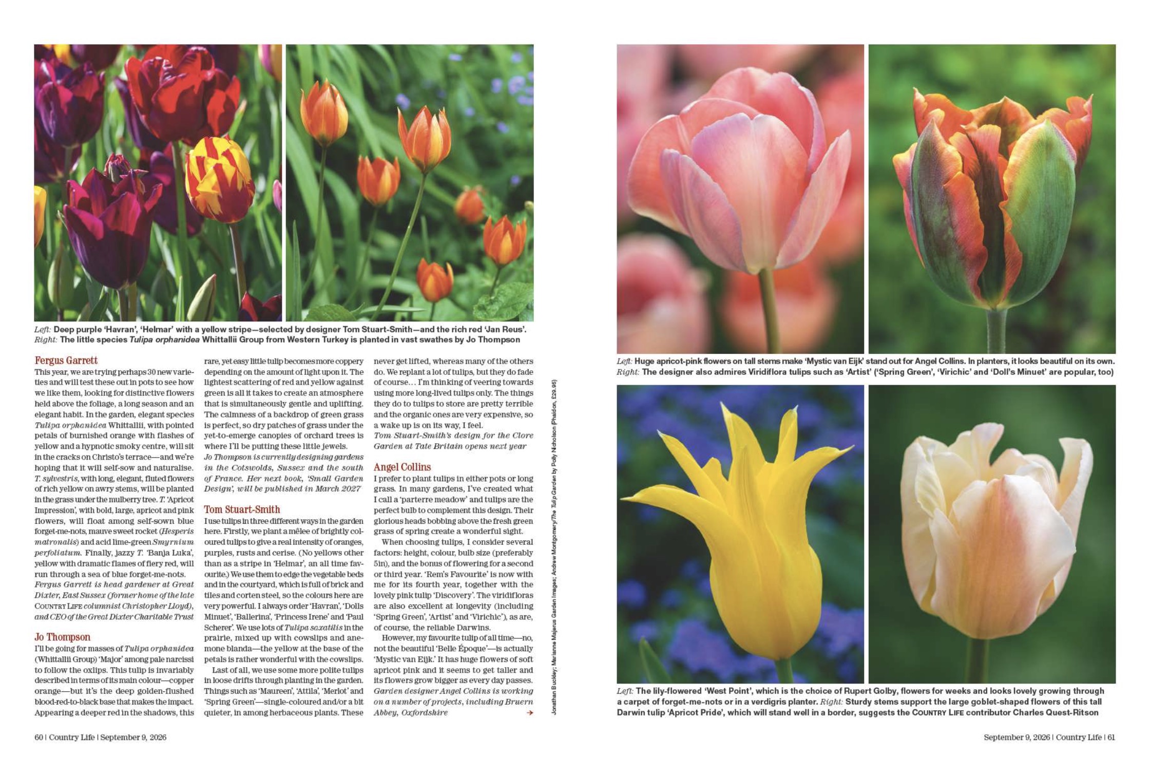 Spreads from Country Life September 9, 2026
