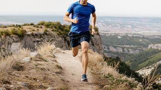 A man in a blue shirt runs uphill in the mountains