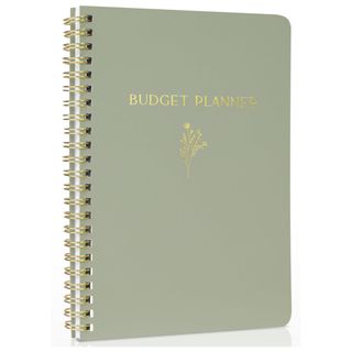 A sage green budget planner with gold detailing and ring binding