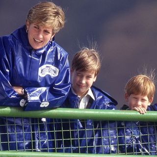 the princess of wales takes her sons william and harry out on the boat 'maid of the mist' at niagara falls, october 1991 photo by jayne fincherprincess diana archivegetty images