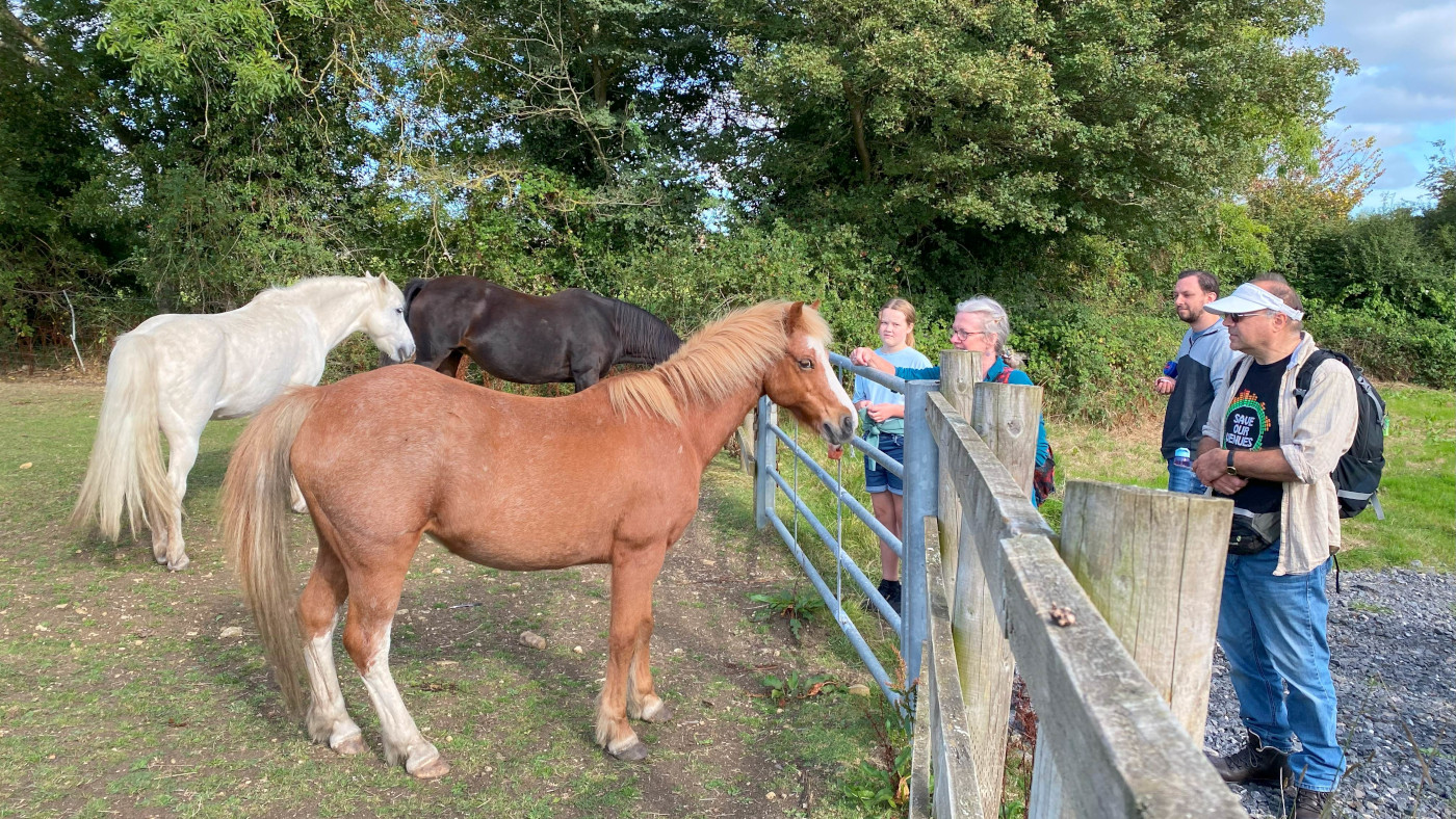 HorseWorld-Open-Day-1.jpg