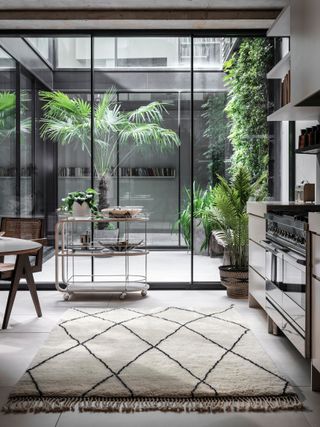 modern kitchen apartment style, glass windows, plants, rug