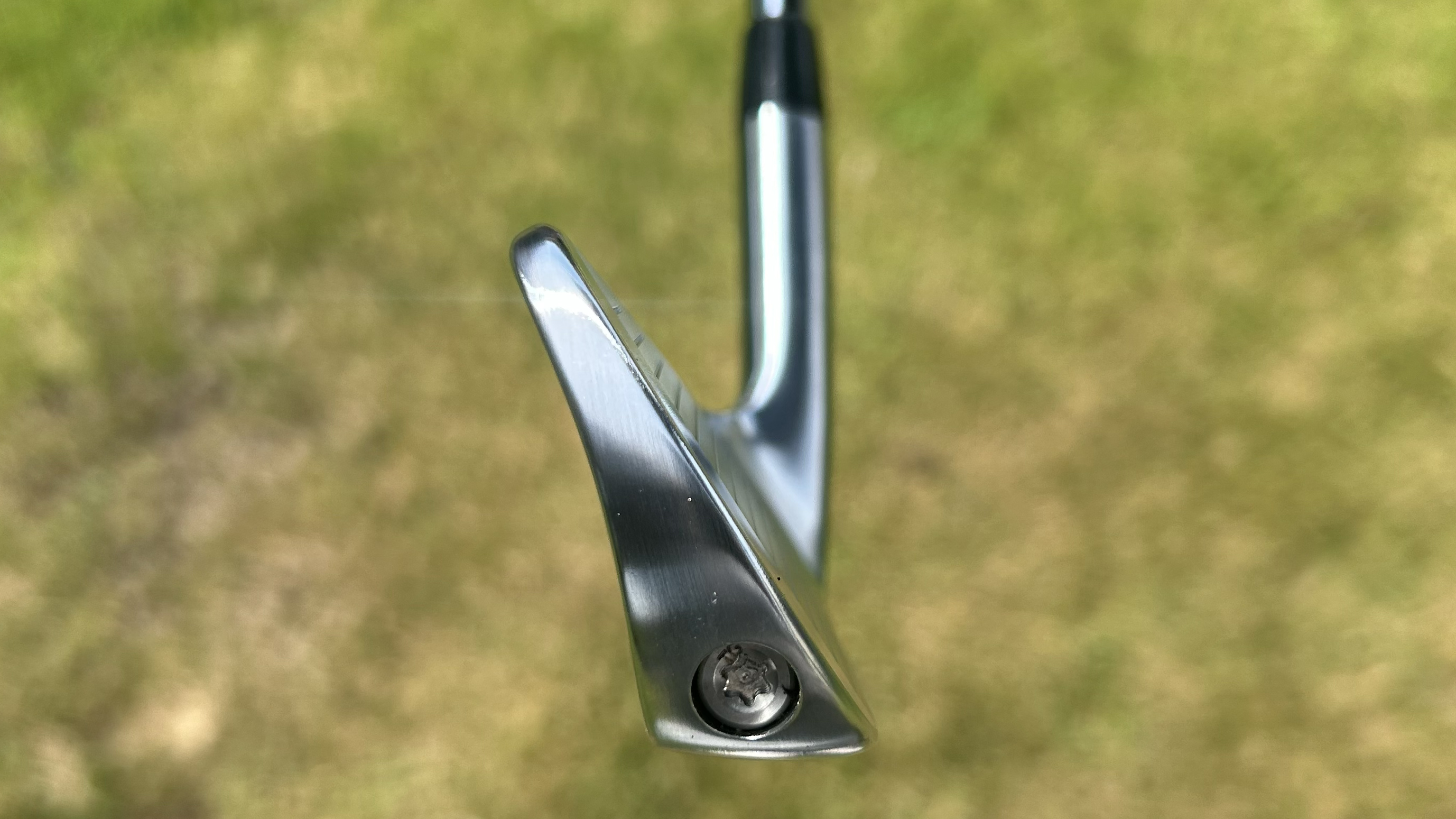 Photo of the Vega Mizar Pro Cavity Irons